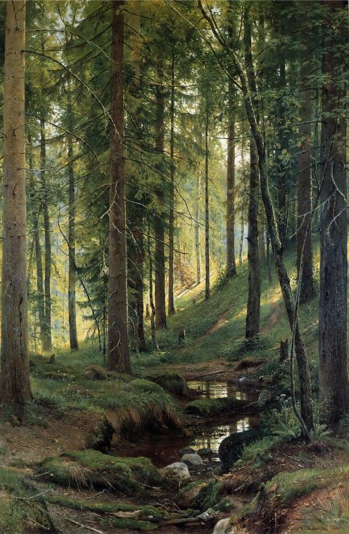 Картины A stream in the forest