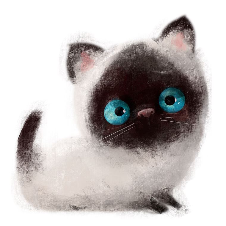Paintings Fluffy kitten with blue eyes