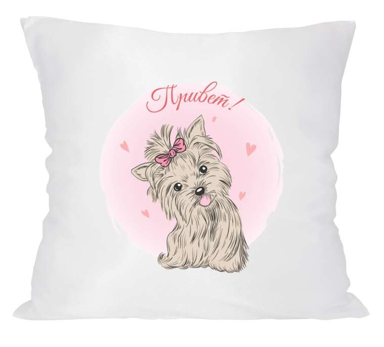 Pillows A small, cute dog