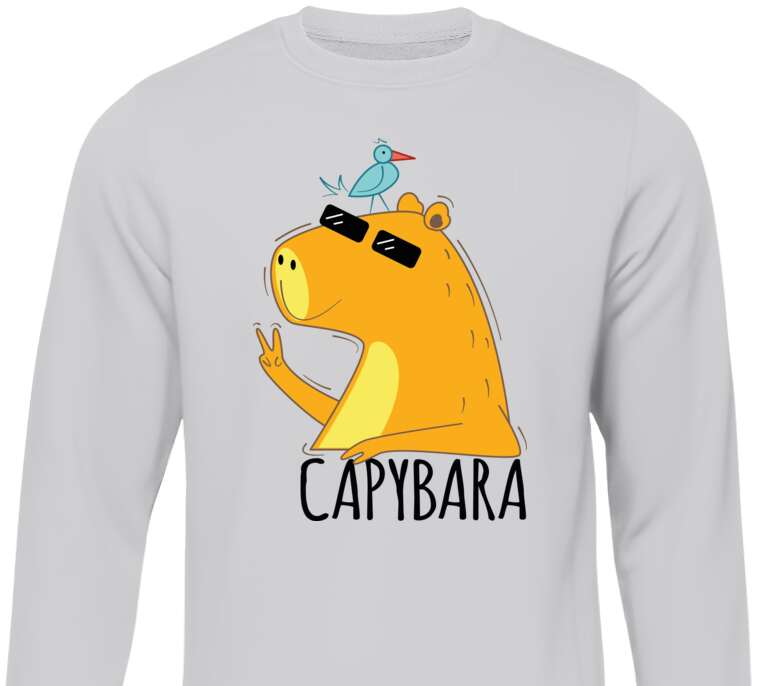 Свитшоты Cool capybara with glasses