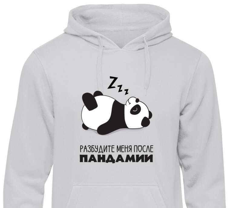 Толстовки, худи  Sleeping Panda: Wake me up after the pandemic
