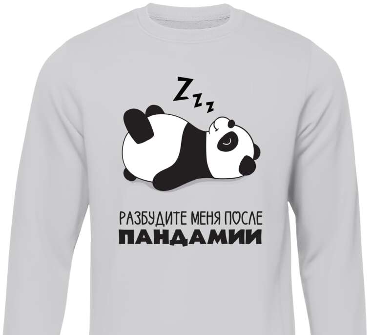 Свитшоты Cпящая панда: разбудите меня после пандемии