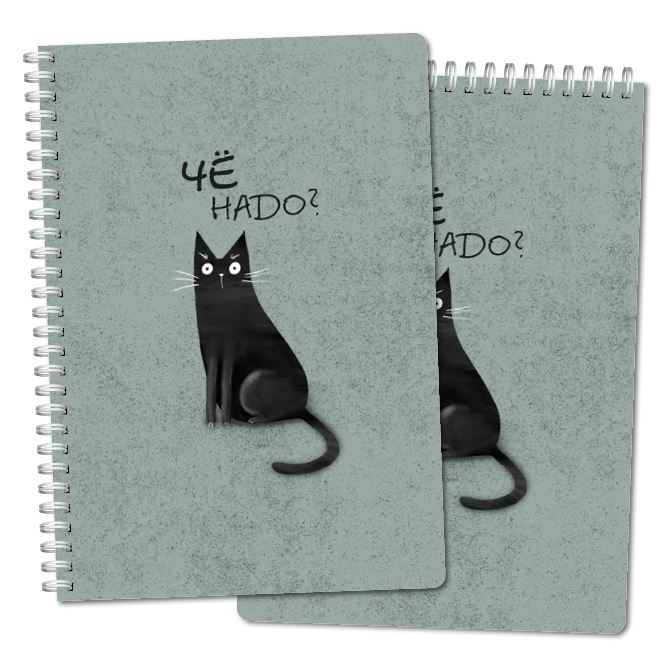 Notebooks Surprised black cat What do you need?