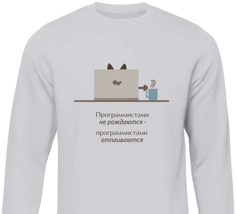 Свитшоты A programmer cat with a cup of coffee