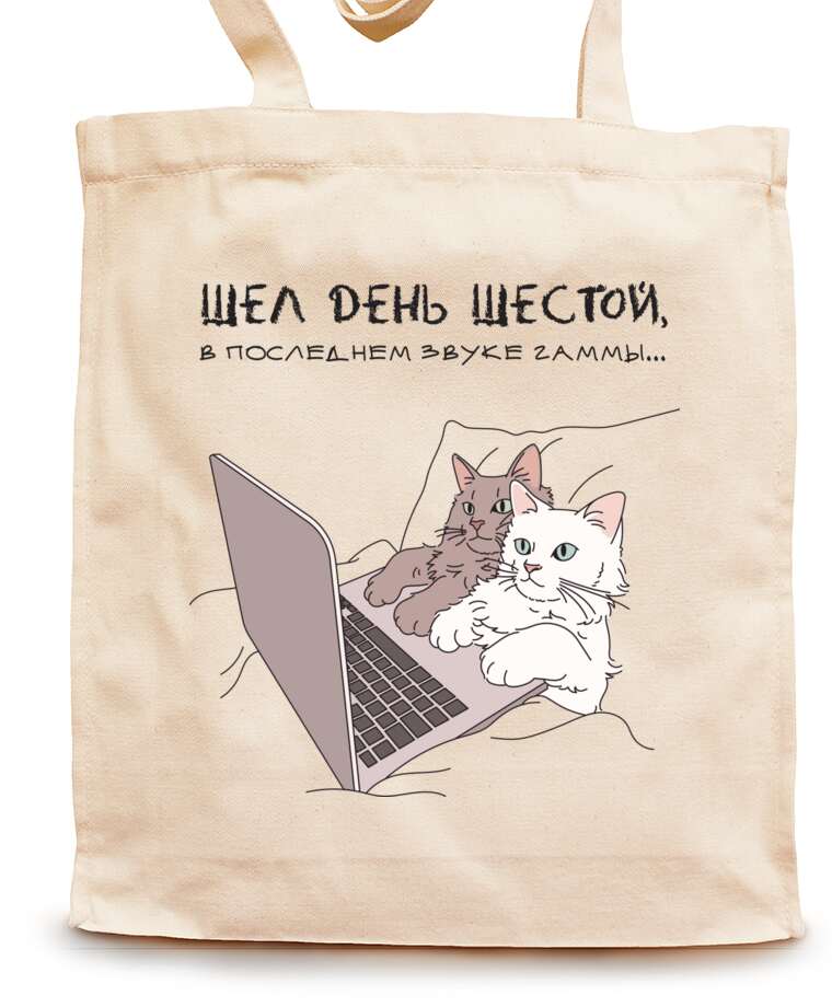Shopping bags Cats on a laptop in bed