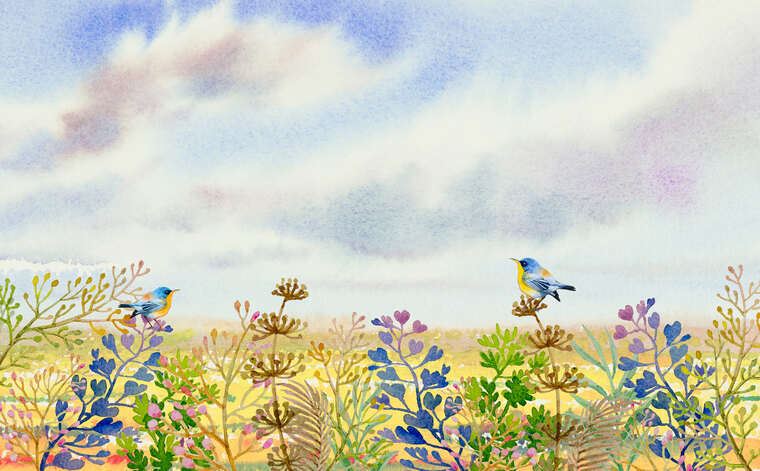 Репродукции картин Весенняя акварель с птицами на лугу