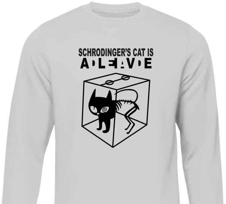 Свитшоты Schrodinger's Cat