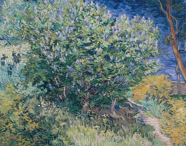 Картины Vincent Van Gogh Lilac Bush