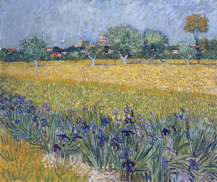 Картины Vincent van Gogh View of Arles with Irises