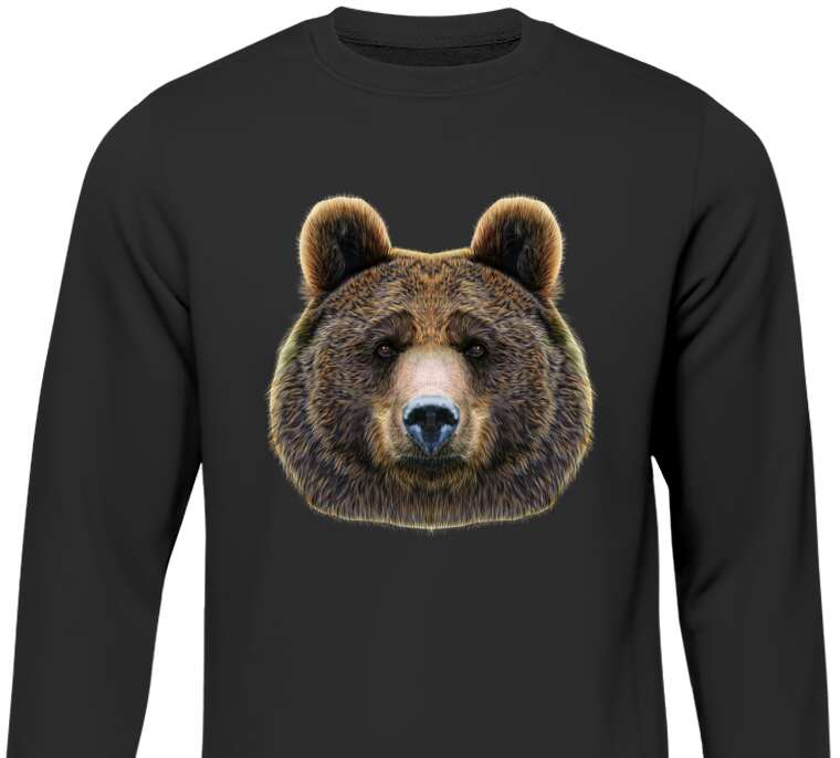 Sweatshirts Bear