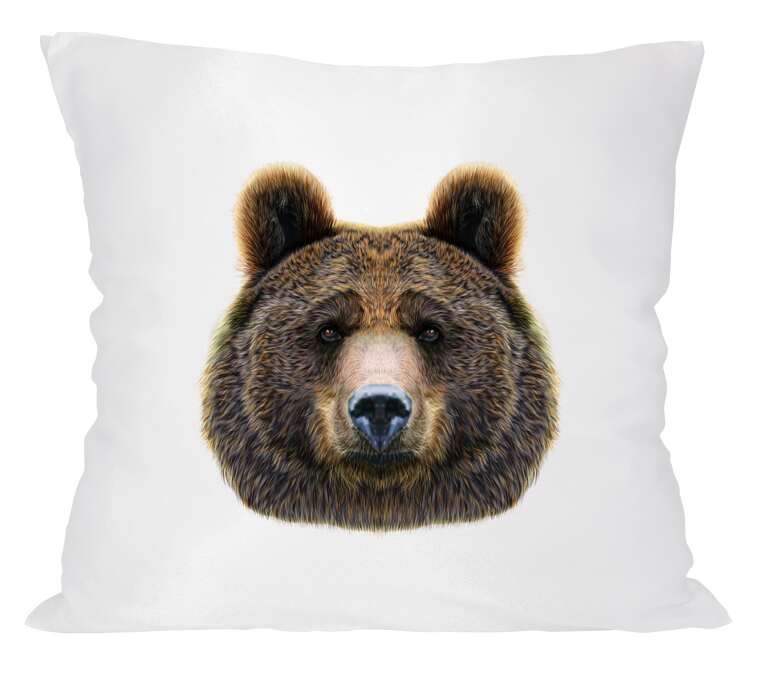Pillows Bear