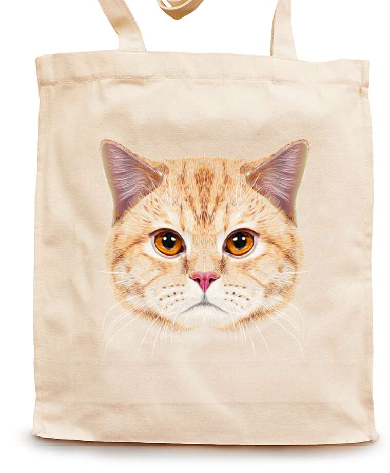 Shopping bags Red Cat