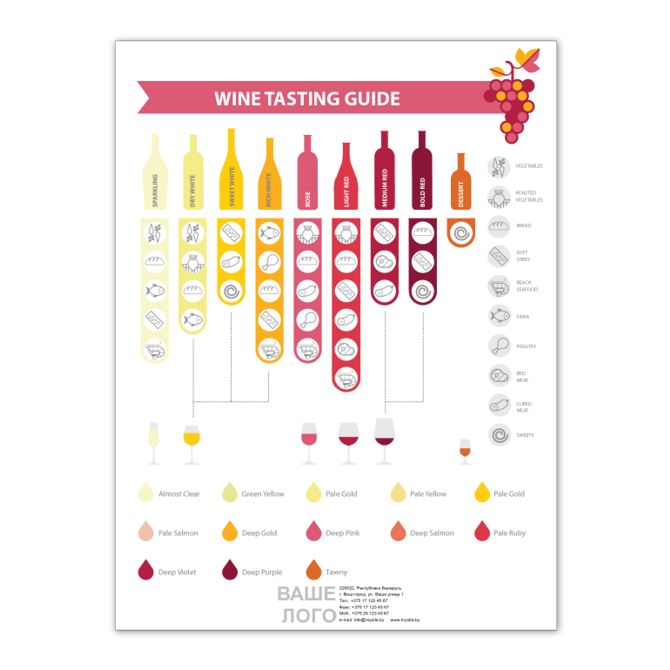 Картины Infographic wine