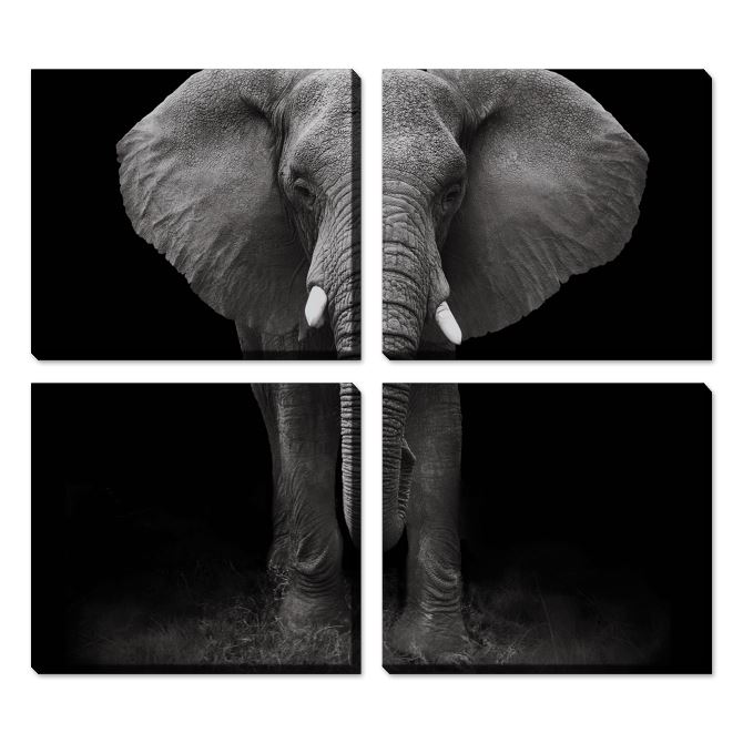 Картины модульные Elephant