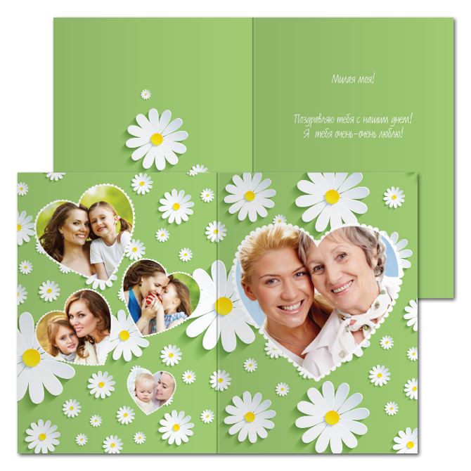 Postcards Daisies on a green background
