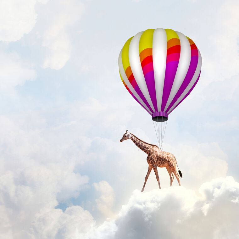 Картины Flying giraffe