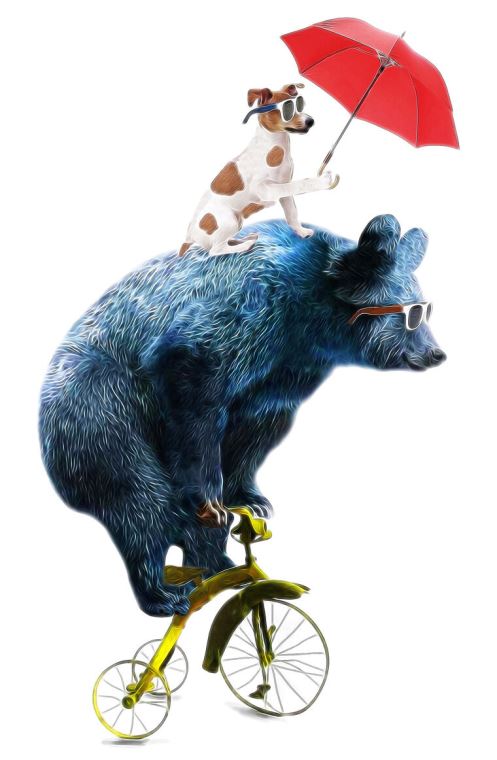 Paintings Bear on a bike