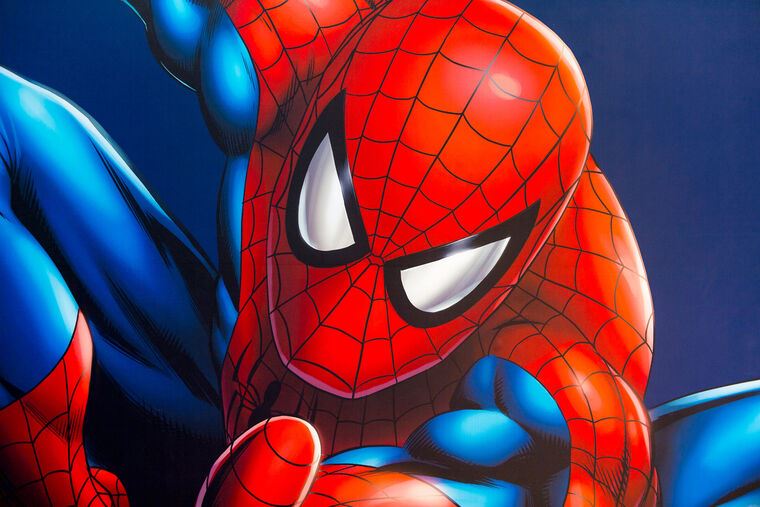 Reproduction paintings Spider-man illustration