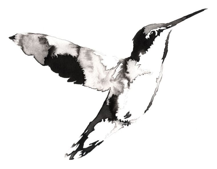 Картины Hummingbirds of Eastern ink painting