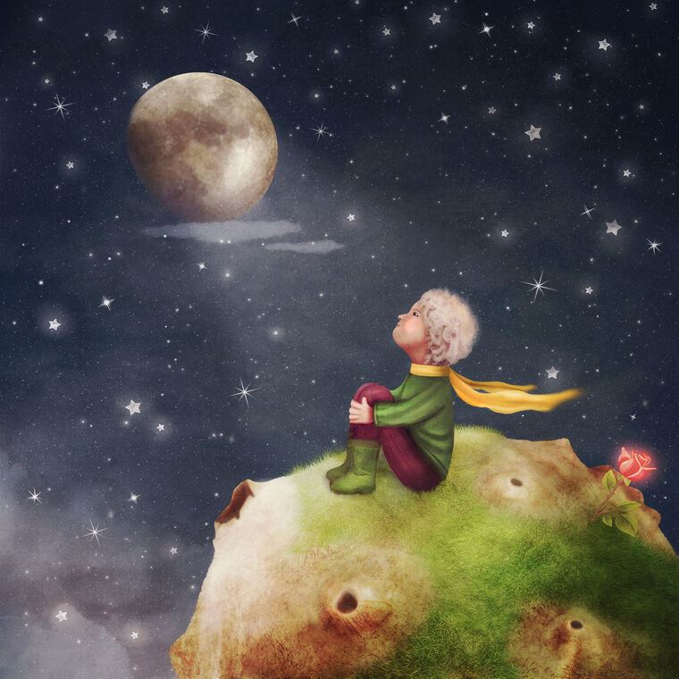 Картины The little Prince and the rose