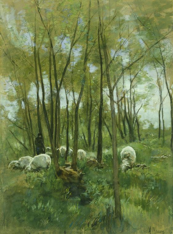 Картины Sheep in the forest (Anton Mauve)
