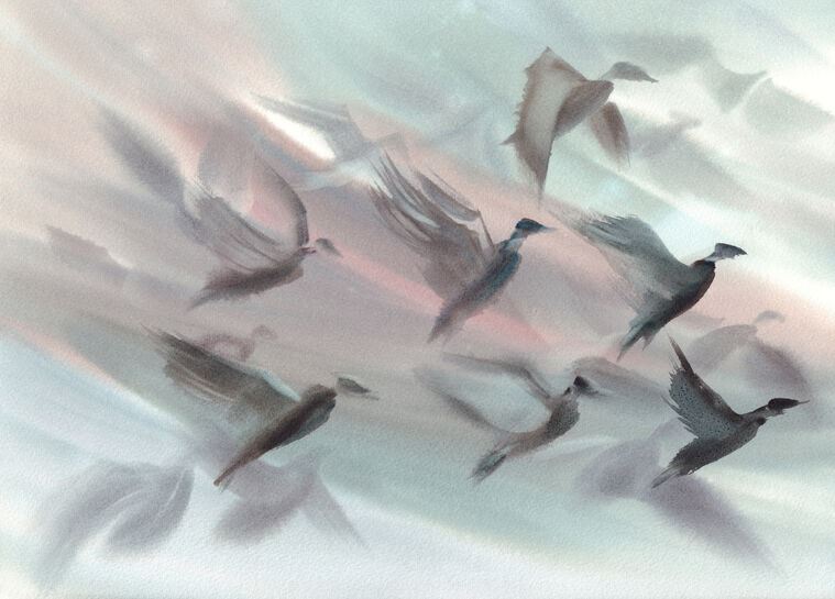 Paintings A flock of birds watercolor