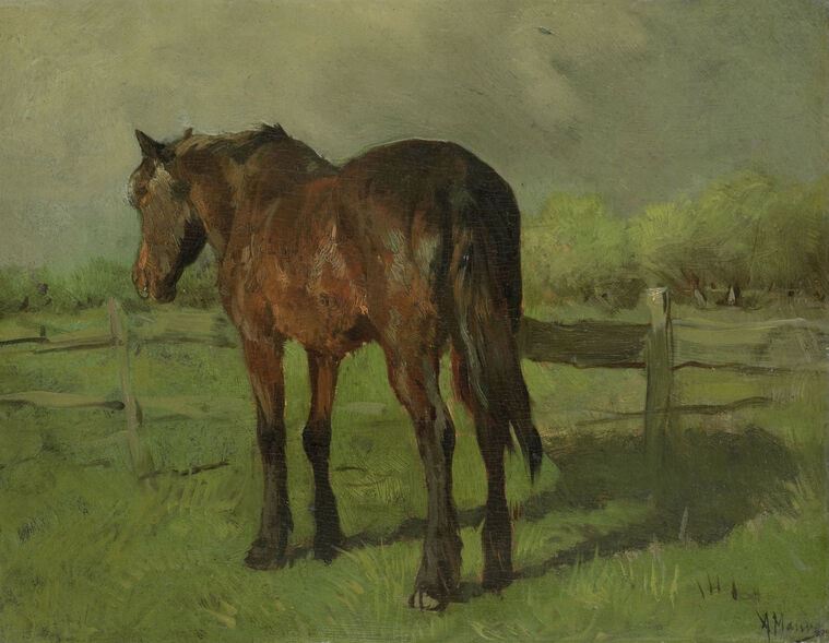 Картины Horse (Anton Mauve)