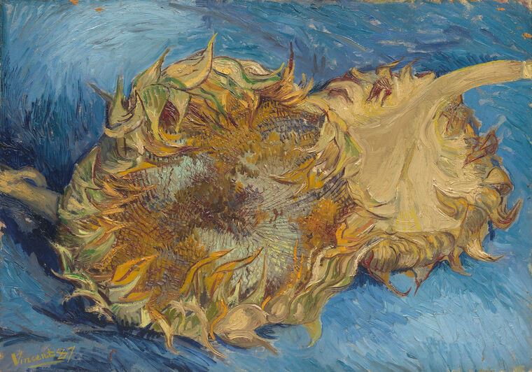 Картины Sunflowers (Vincent van Gogh)
