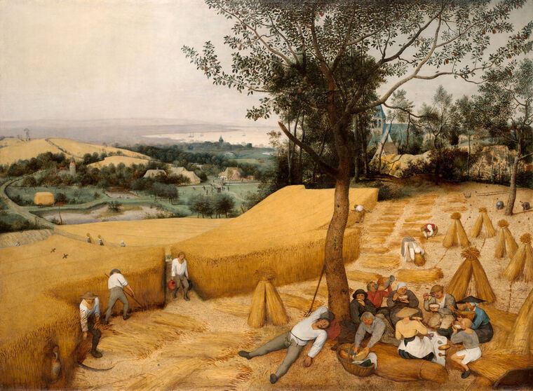 Картины The Reaping (Peter Bruegel The Elder)