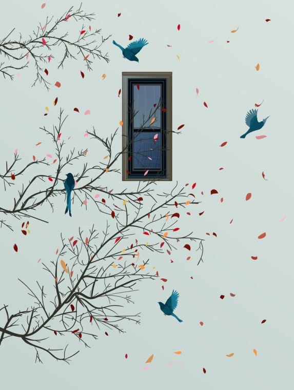 Картины Birds outside the window