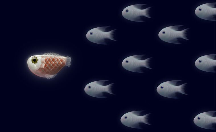 Reproduction paintings A series of fish against a dark background иллюстрация_9
