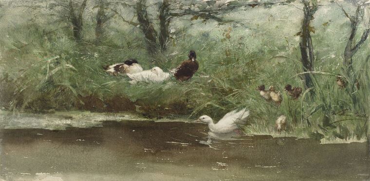 Картины Ducks in the gutter (Willem Maris)
