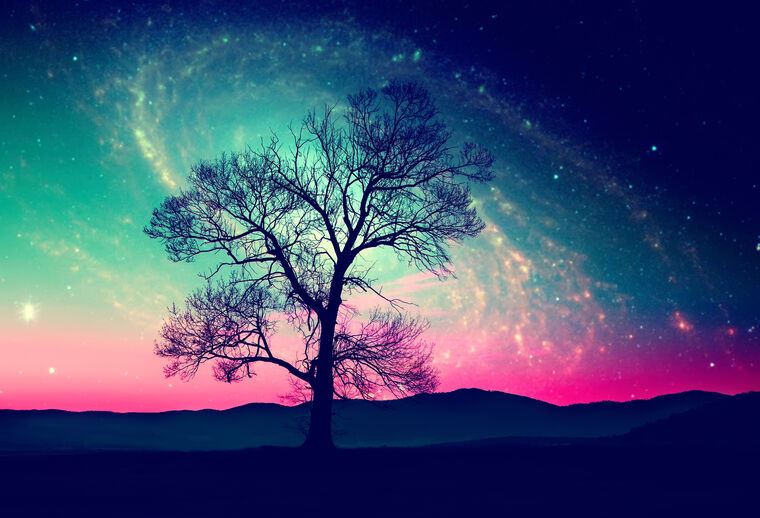 Картины The tree on the background of the starry sky