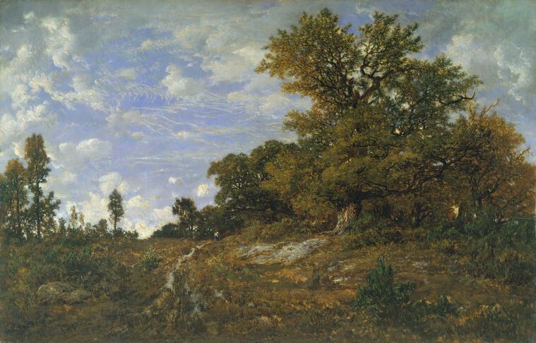 Картины The edge of the forest in Mont-Girard (théodore Rousseau)