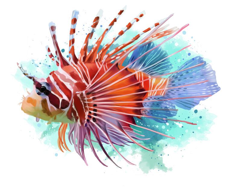 Картины Lionfish digital painting