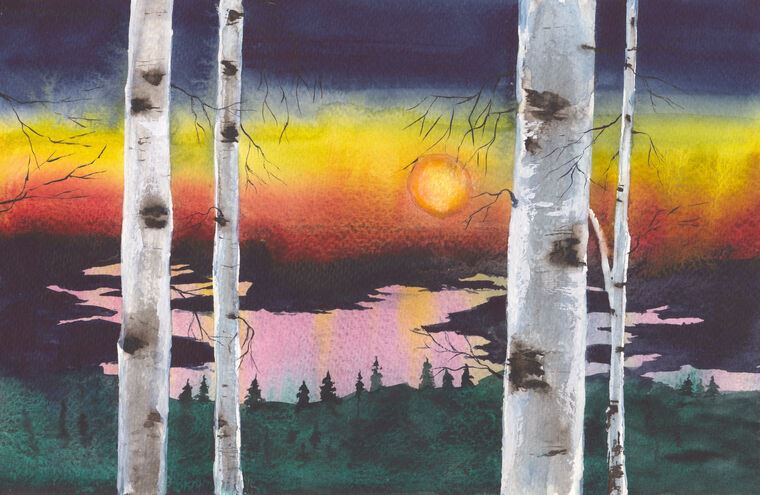 Картины Sunset in a birch forest
