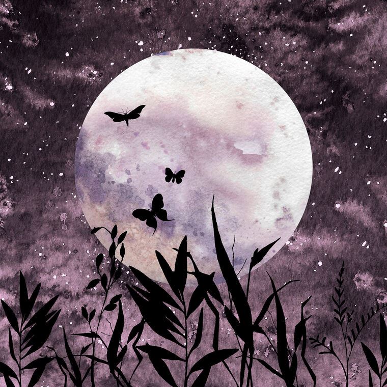 Репродукции картин Butterfly on background of the moon