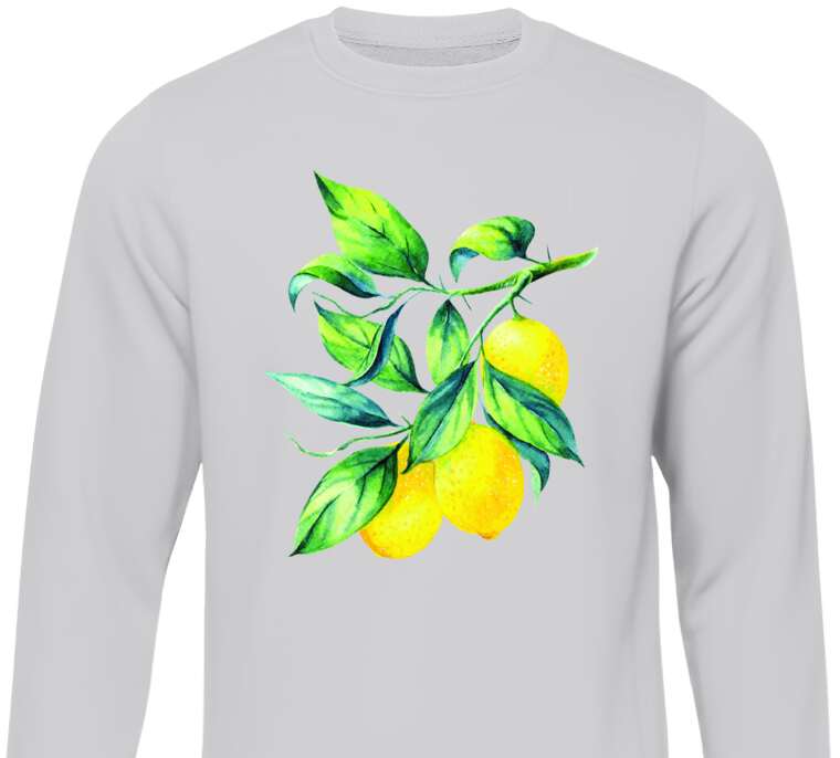 Sweatshirts The lemon branch