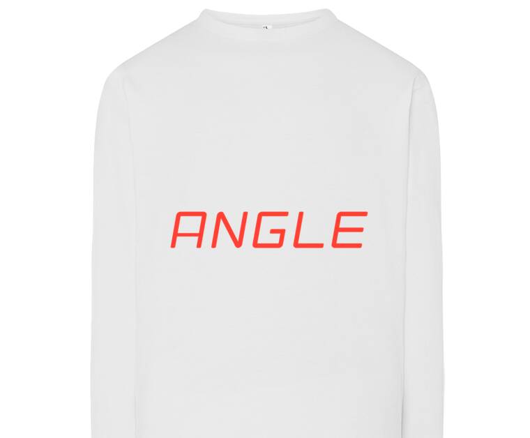Лонгсливы Angle