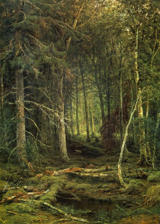 Reproduction paintings Forest wilderness