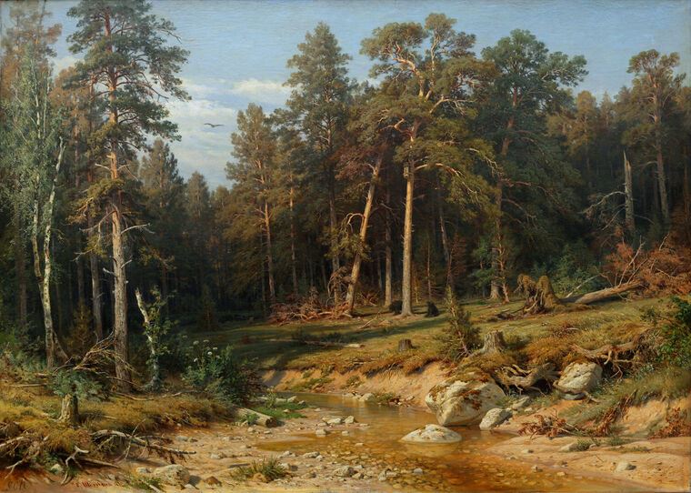 Картины Сосновый бор. Мачтовый лес в Вятской губернии