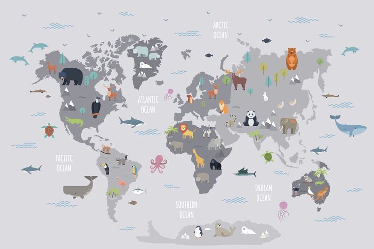 Фотообои Карта мира с мультяшными животными