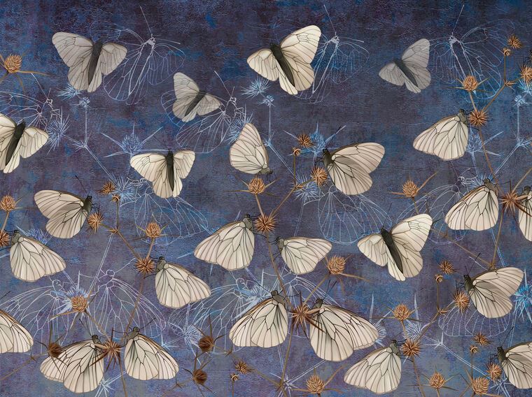 Репродукции картин Бабочки на стене-гранж синего цвета