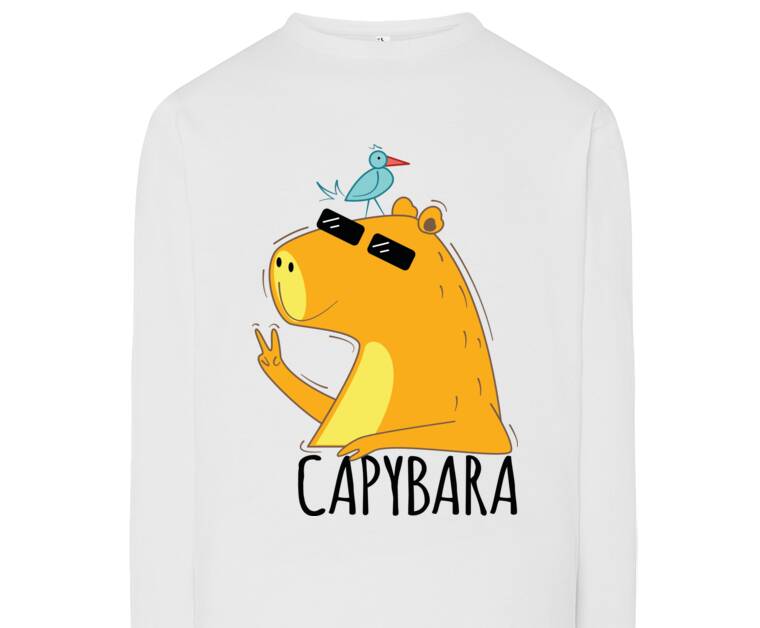 Лонгсливы Крутая капибара в очках