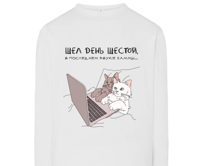 Лонгсливы Cats on a laptop in bed