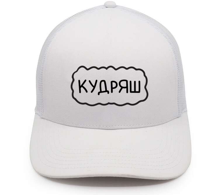 Кепки, бейсболки с сеткой Кудряш