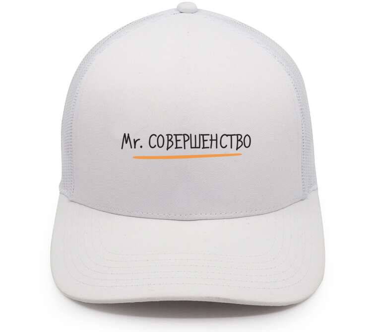 Кепки, бейсболки с сеткой Mr. Совершенство