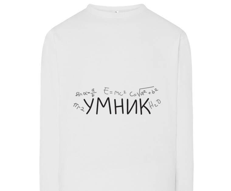 Лонгсливы Smart guy