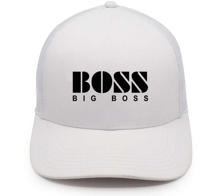 Кепки, бейсболки с сеткой Big Boss