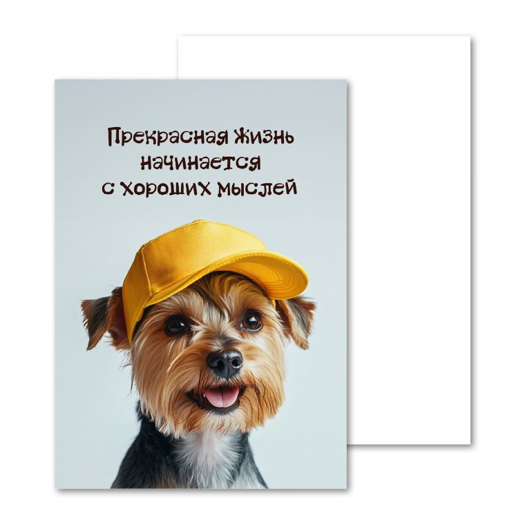 Открытки мини, карточки Щенок в кепке